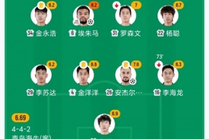 海牛安杰尔科维奇、金洋洋、金永浩均累计4黄，下轮战河南将停赛